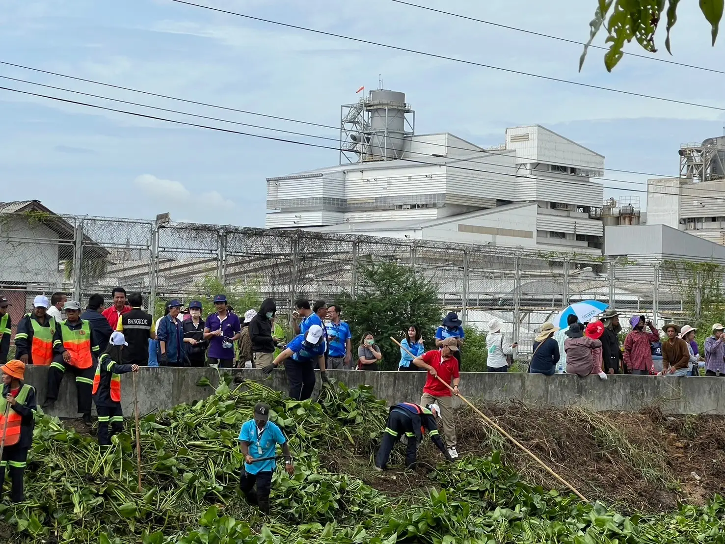 "Join in restoring clarity to Lam Taeng Mo Canal"