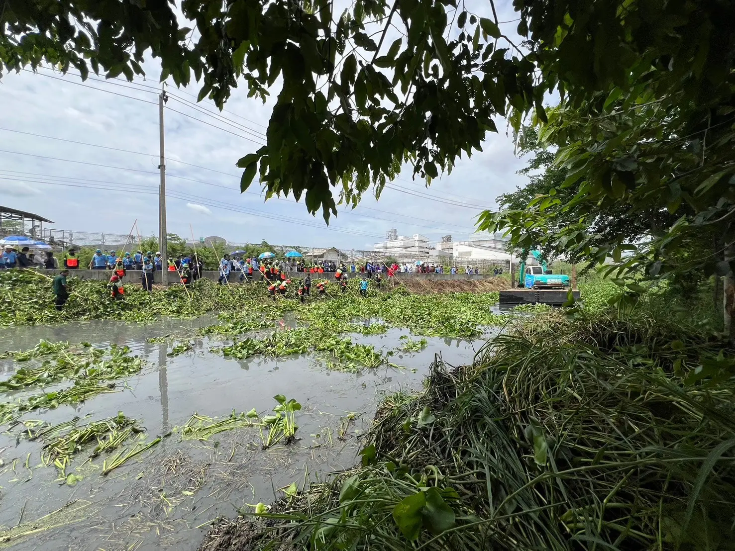 "Join in restoring clarity to Lam Taeng Mo Canal"