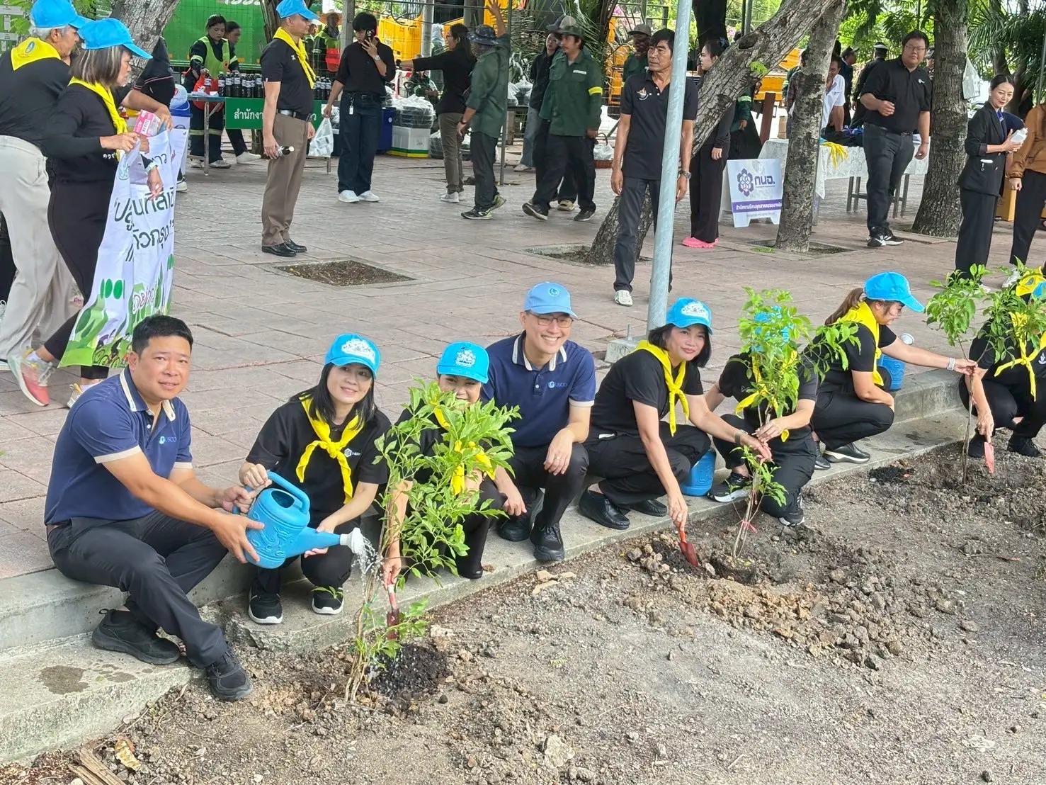 "World Environment Day 2026"